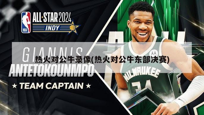 热火对公牛录像(热火对公牛东部决赛)