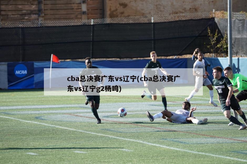 cba总决赛广东vs辽宁(cba总决赛广东vs辽宁g2杨鸣)