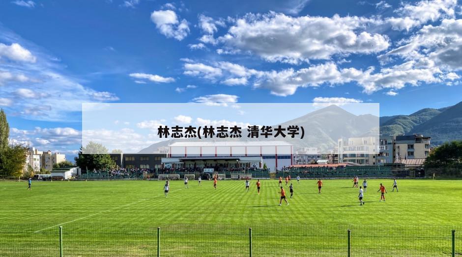 林志杰(林志杰 清华大学)