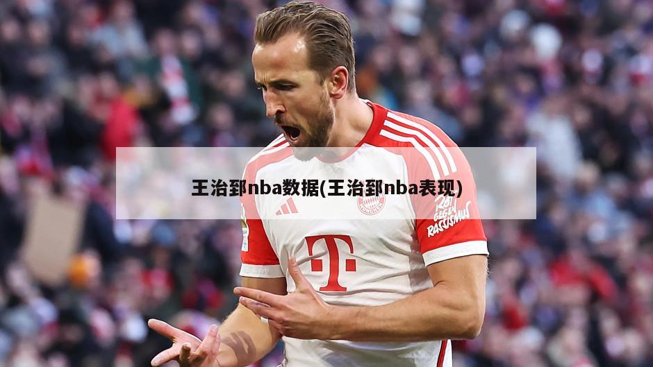 王治郅nba数据(王治郅nba表现)