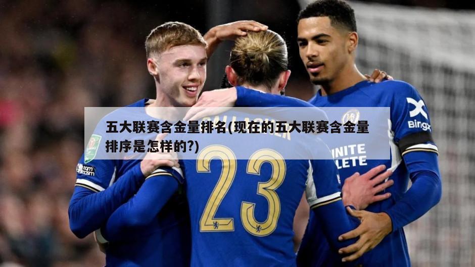 五大联赛含金量排名(现在的五大联赛含金量排序是怎样的?)