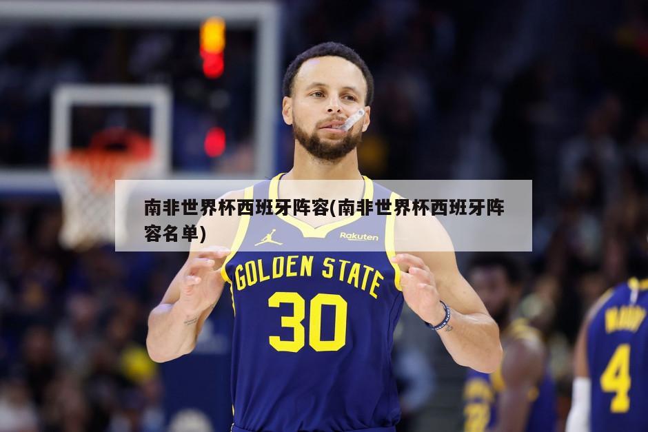 南非世界杯西班牙阵容(南非世界杯西班牙阵容名单)