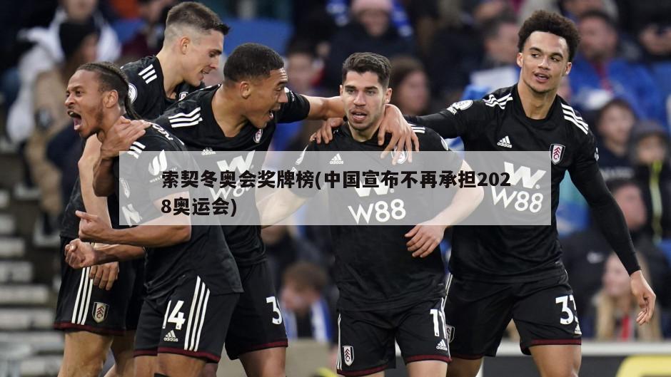 索契冬奥会奖牌榜(中国宣布不再承担2028奥运会)