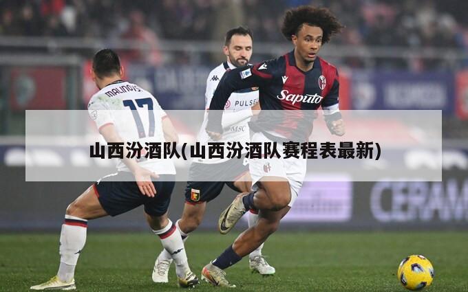 山西汾酒队(山西汾酒队赛程表最新)