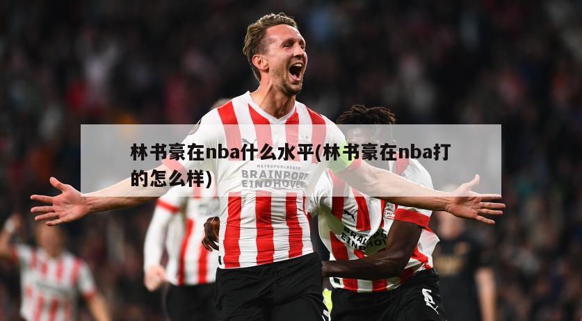 林书豪在nba什么水平(林书豪在nba打的怎么样)