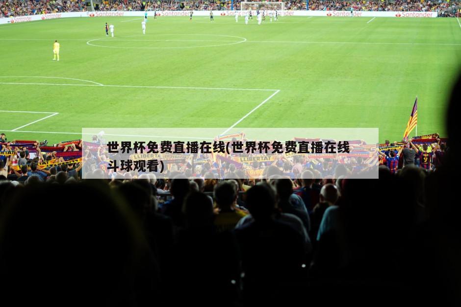 世界杯免费直播在线(世界杯免费直播在线 斗球观看)