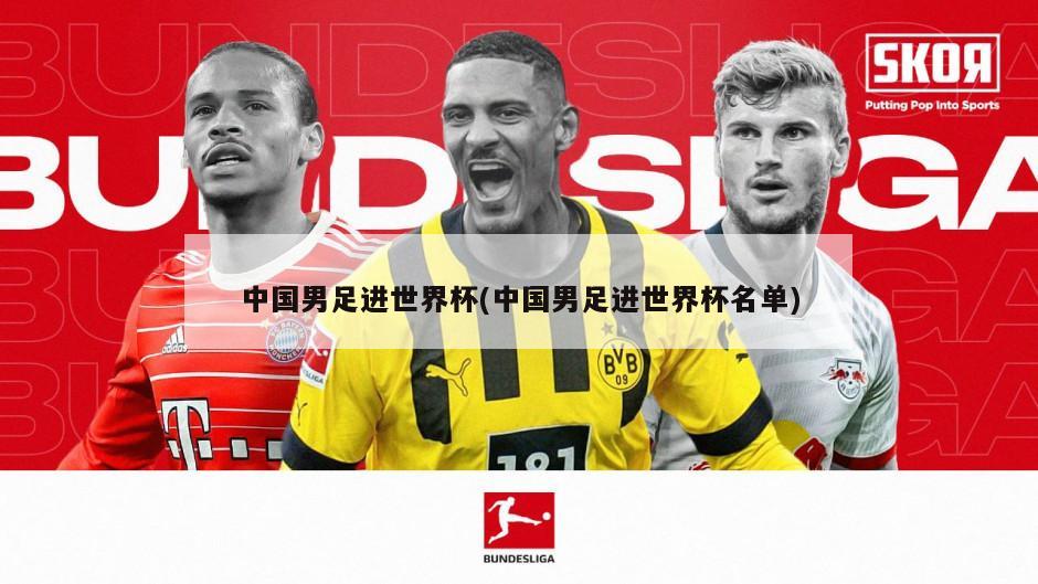 中国男足进世界杯(中国男足进世界杯名单)