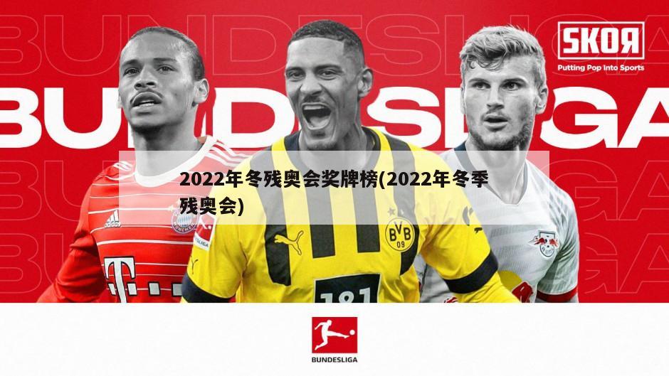 2022年冬残奥会奖牌榜(2022年冬季残奥会)