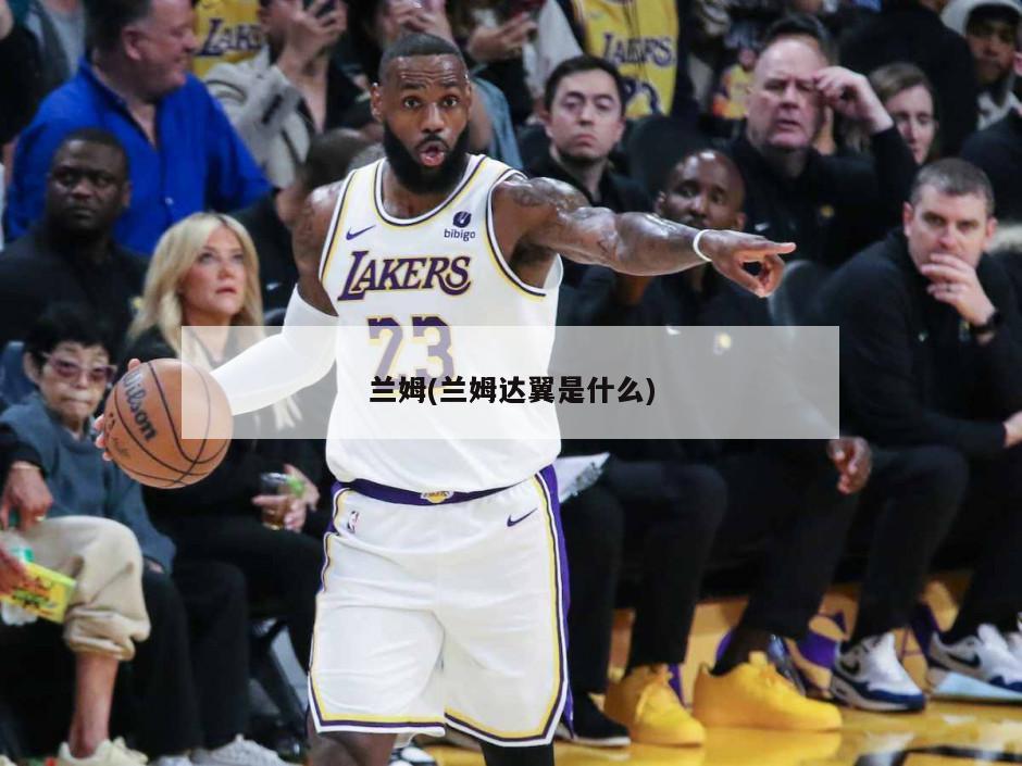 兰姆(兰姆达翼是什么)