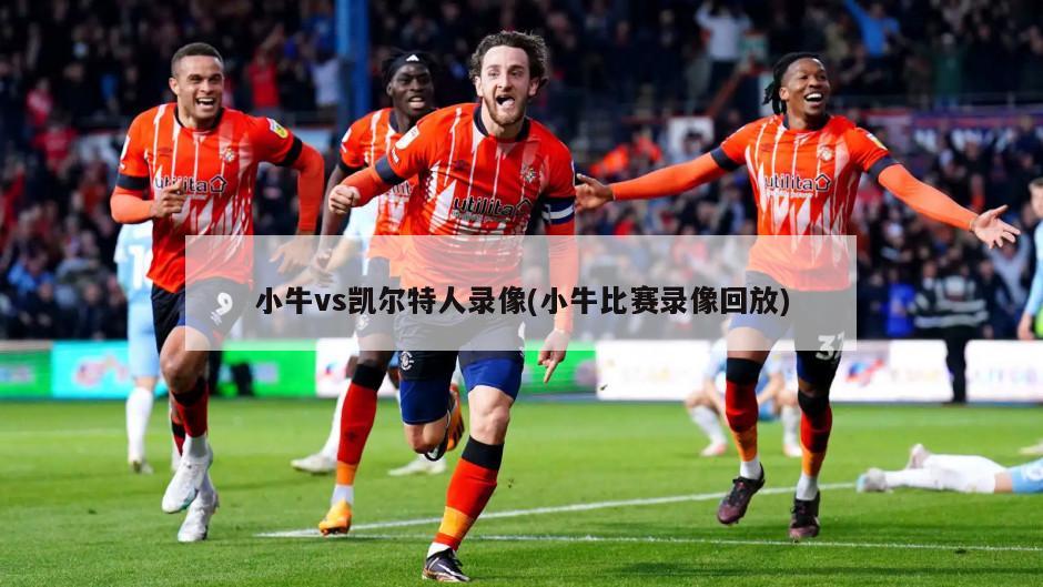 小牛vs凯尔特人录像(小牛比赛录像回放)