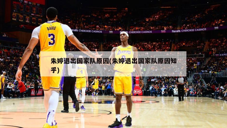 朱婷退出国家队原因(朱婷退出国家队原因知乎)