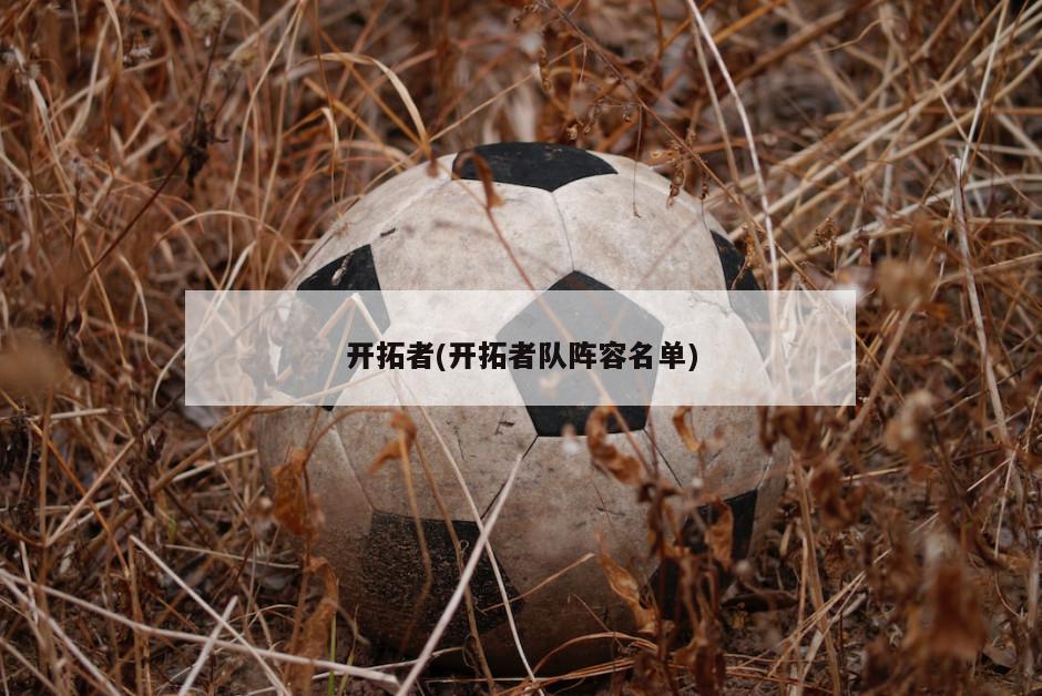 开拓者(开拓者队阵容名单)