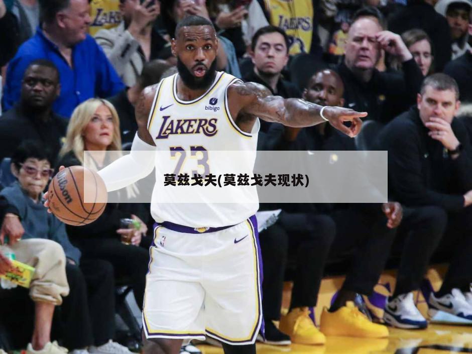 莫兹戈夫(莫兹戈夫现状)