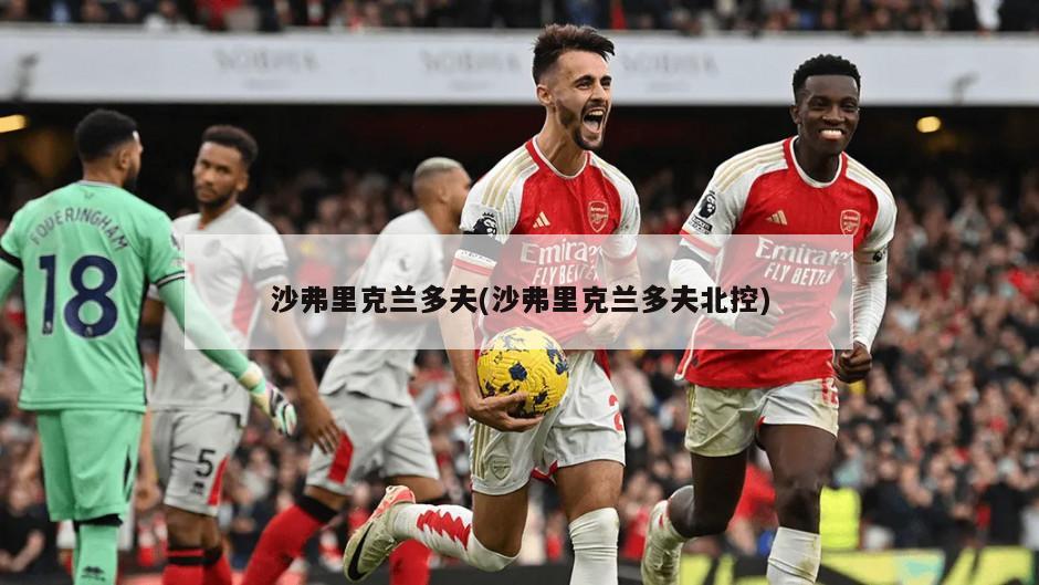 沙弗里克兰多夫(沙弗里克兰多夫北控)