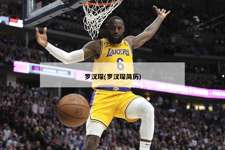 罗汉琛(罗汉琛简历)