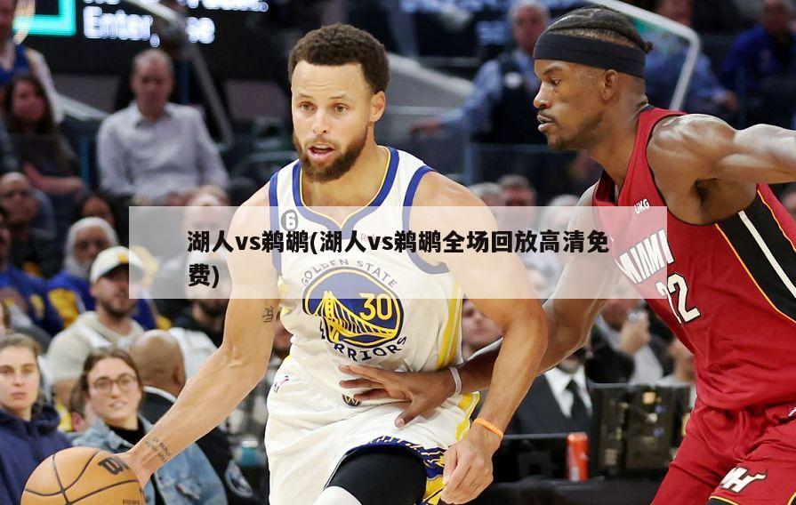 湖人vs鹈鹕(湖人vs鹈鹕全场回放高清免费)
