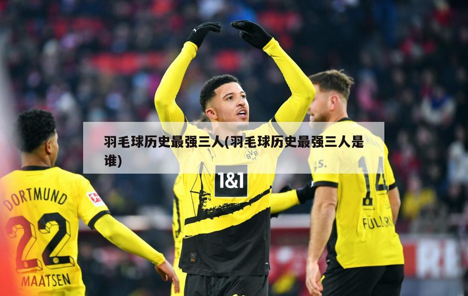 羽毛球历史最强三人(羽毛球历史最强三人是谁)