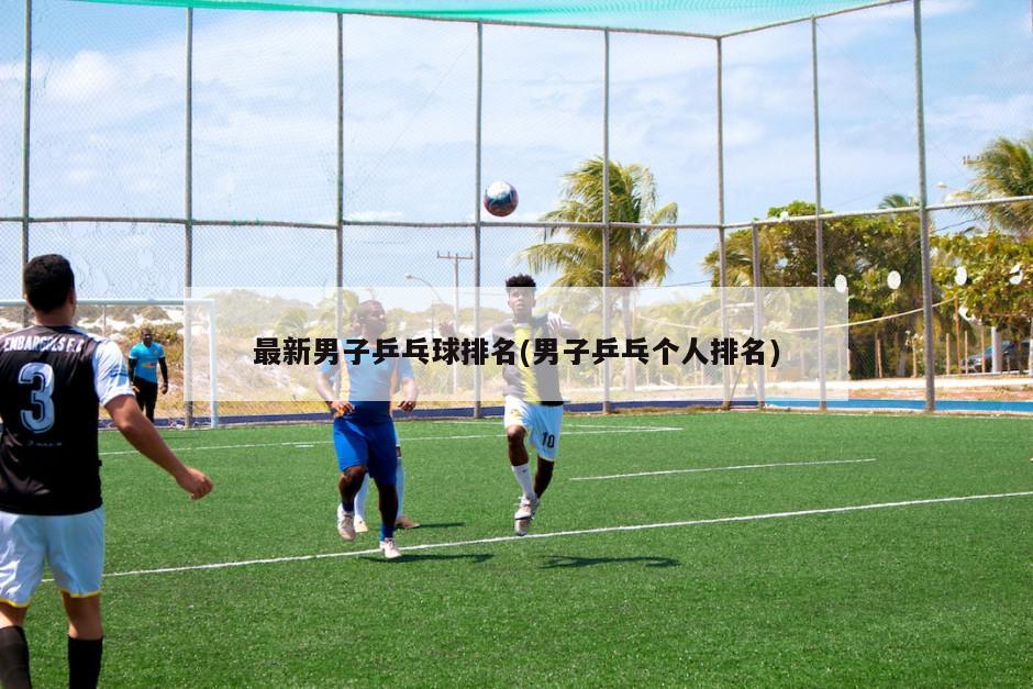 最新男子乒乓球排名(男子乒乓个人排名)