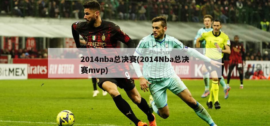 2014nba总决赛(2014Nba总决赛mvp)