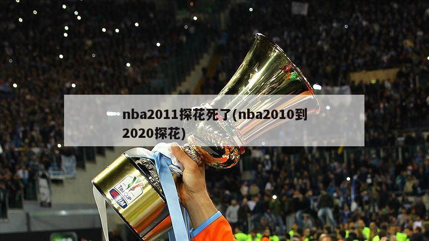 nba2011探花死了(nba2010到2020探花)